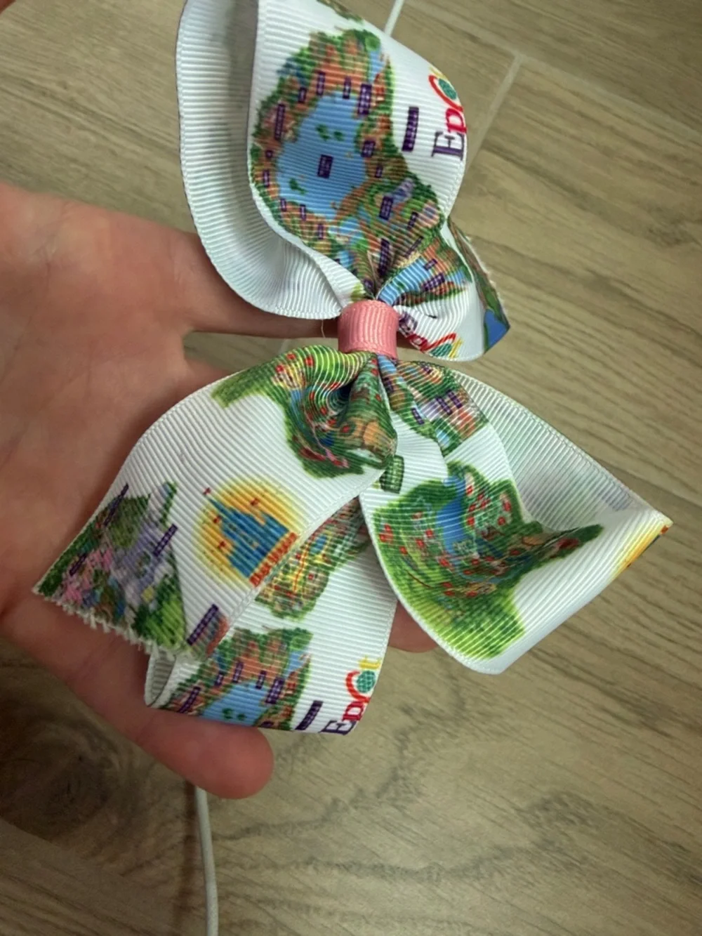 Disney World Parks Bow